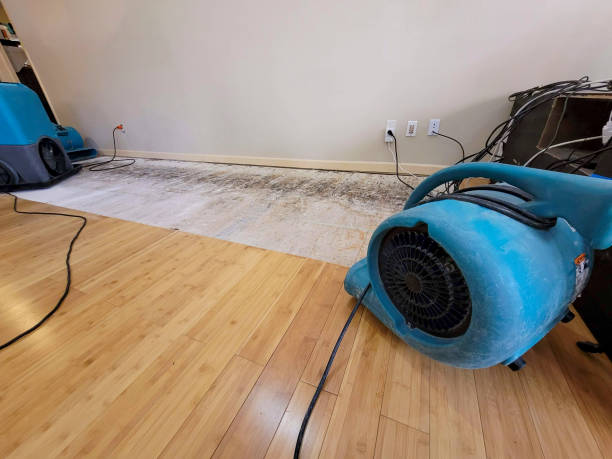 Reliable Flood Damage Restoration contractor in New Boston, MI by Hirex Water Damage