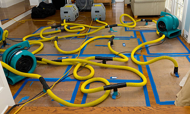 Professional Flood Damage Restoration technician working in New Boston, MI