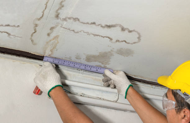 Affordable Water Damage Repair solutions in New Boston, MI